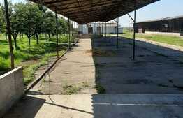 Investitie! Casa P+M cu ferma, atelier, hale, teren 15000 mp, Apateu