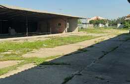 Investitie! Casa P+M cu ferma, atelier, hale, teren 15000 mp, Apateu