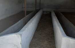 Investitie! Casa P+M cu ferma, atelier, hale, teren 15000 mp, Apateu