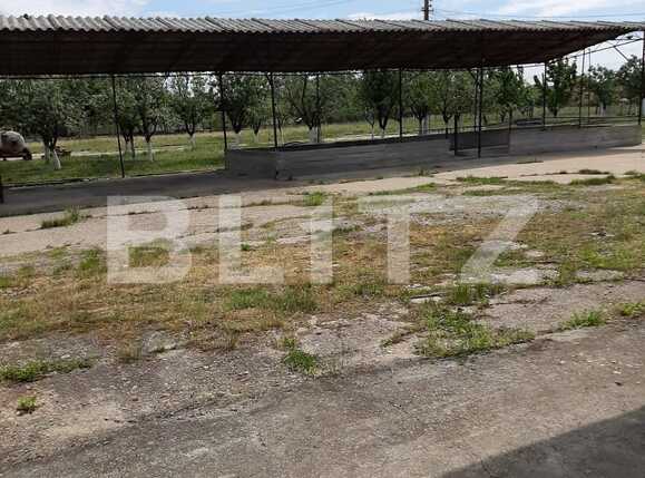 Casa de vânzare 8 camere Exterior Nord - 78026CV | BLITZ Arad | Poza22