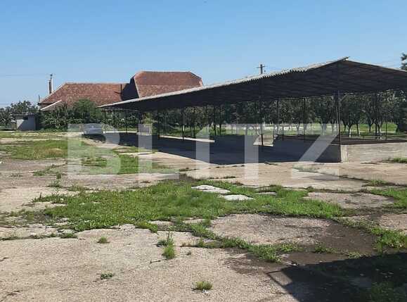 Casa de vânzare 8 camere Exterior Nord - 78026CV | BLITZ Arad | Poza20