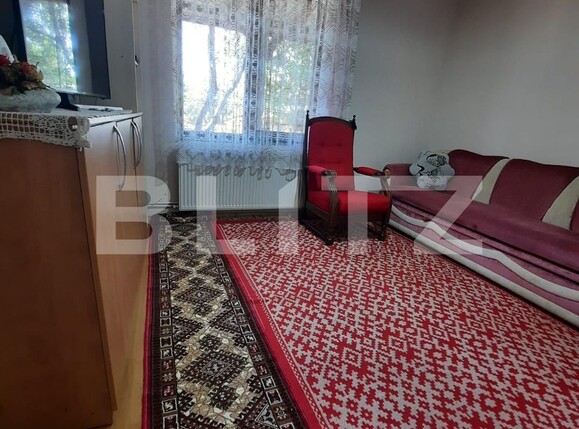 Casa de vânzare 8 camere Exterior Nord - 78026CV | BLITZ Arad | Poza7