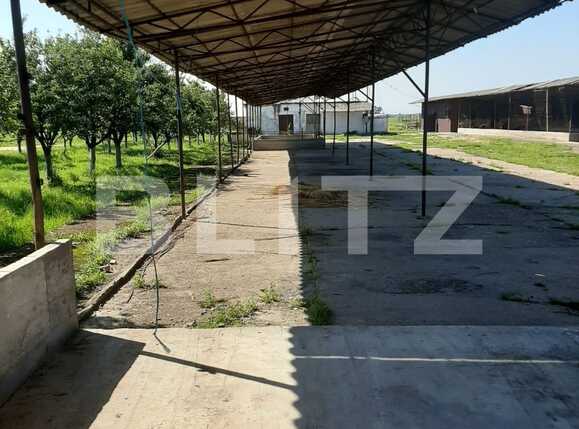 Casa de vânzare 8 camere Exterior Nord - 78026CV | BLITZ Arad | Poza17