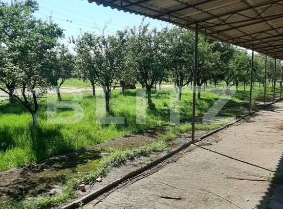 Casa de vânzare 8 camere Exterior Nord - 78026CV | BLITZ Arad | Poza23