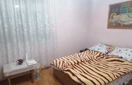 Casa individuala, 4 camere, 1600 mp teren, centru Curtici