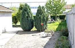 Casa individuala, 4 camere, 1600 mp teren, centru Curtici