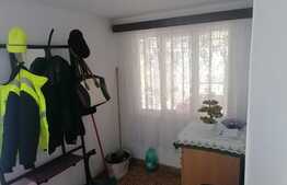 Casa individuala, 4 camere, 1600 mp teren, centru Curtici