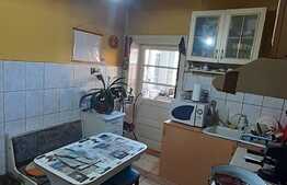 Casă de renovat, 70 mp utili, teren 900 mp, in Sega