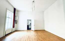 Oportunitate investiție! Apartament spatios de 4 camere, 239 mp construiti, zona excelenta, Ultracentral!