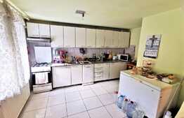 Apartament la casa cu 3 camere, 90 mp utili, curte, pod, zona Centrala