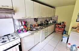 Apartament la casa cu 3 camere, 90 mp utili, curte, pod, zona Centrala