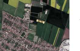 Teren extravilan cu potential, 4906 mp, front stradal 24 ml, Sannicolau Mic