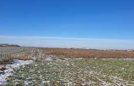 Teren extravilan cu potential, 4906 mp, front stradal 24 ml, Sannicolau Mic