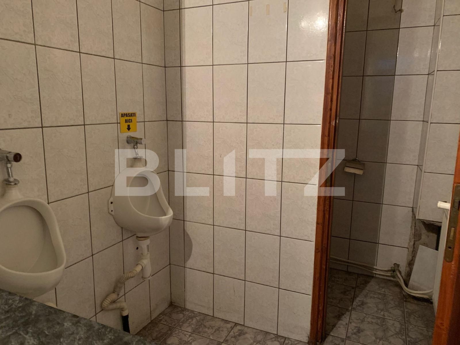 Spațiu comercial de închiriat Podgoria - 79720SIC | BLITZ Arad | Poza5
