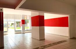 Spatiu comercial cu vitrina si vad comercial, 78 mp, Aleea Borsec