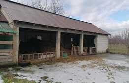 Casa individuală de 189 mp utili, teren 4227 mp, in Macea