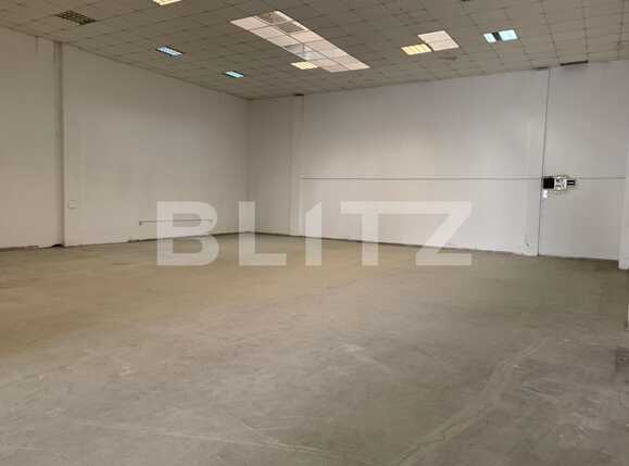 Spațiu industrial de închiriat UTA - 80025SII | BLITZ Arad | Poza6