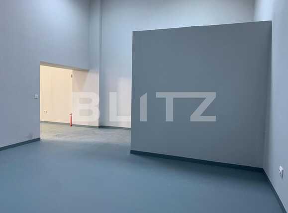 Spațiu industrial de închiriat UTA - 80025SII | BLITZ Arad | Poza4