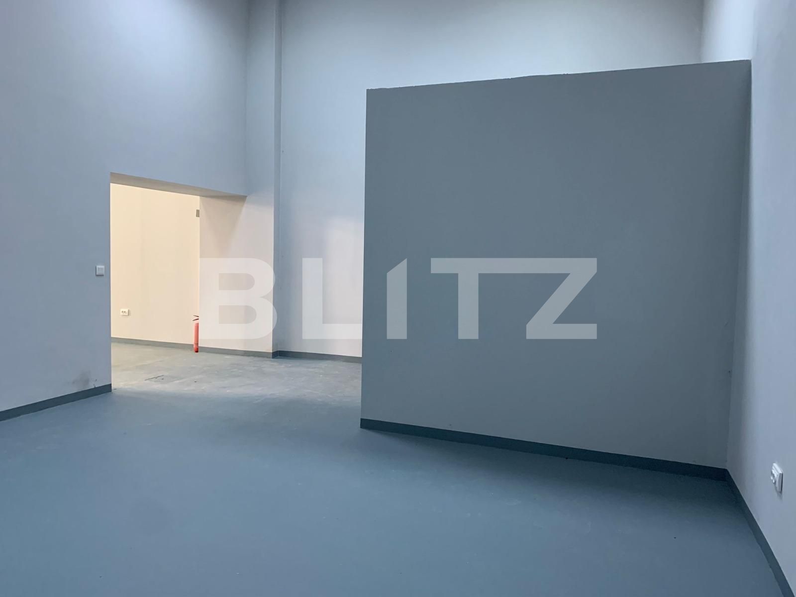 Spațiu industrial de închiriat UTA - 80025SII | BLITZ Arad | Poza4