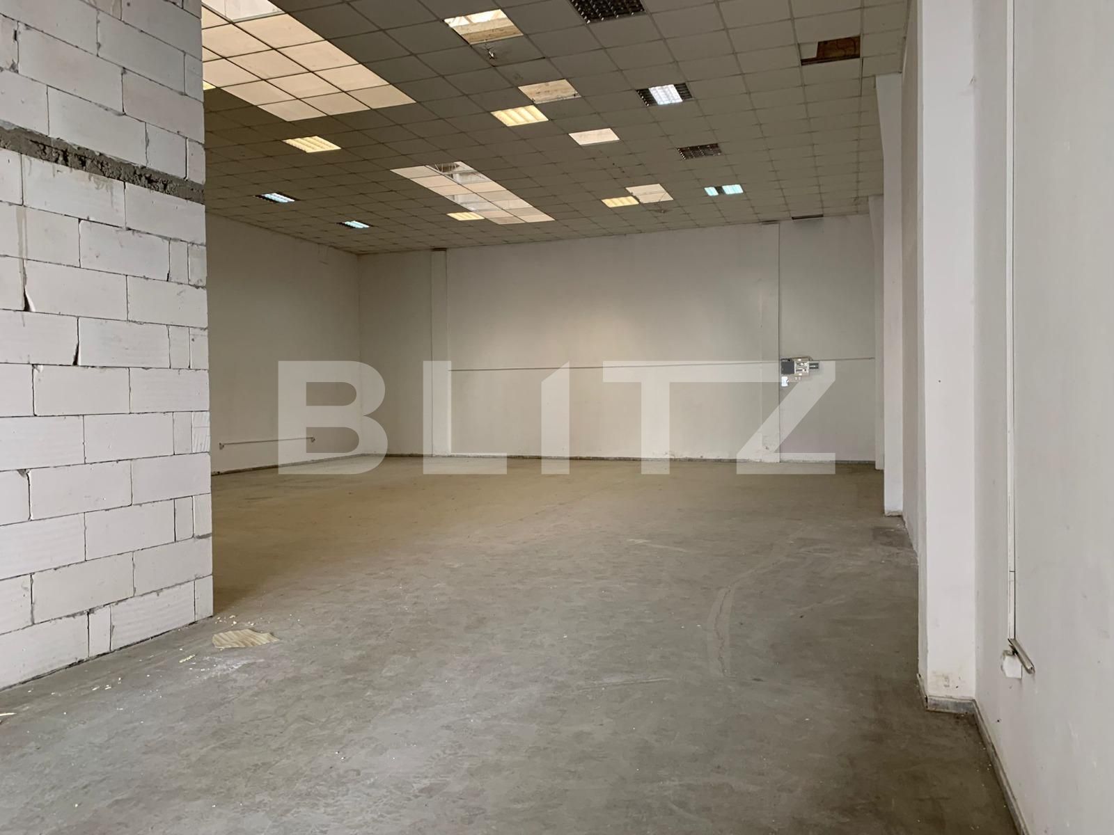 Spațiu industrial de închiriat UTA - 80025SII | BLITZ Arad | Poza8