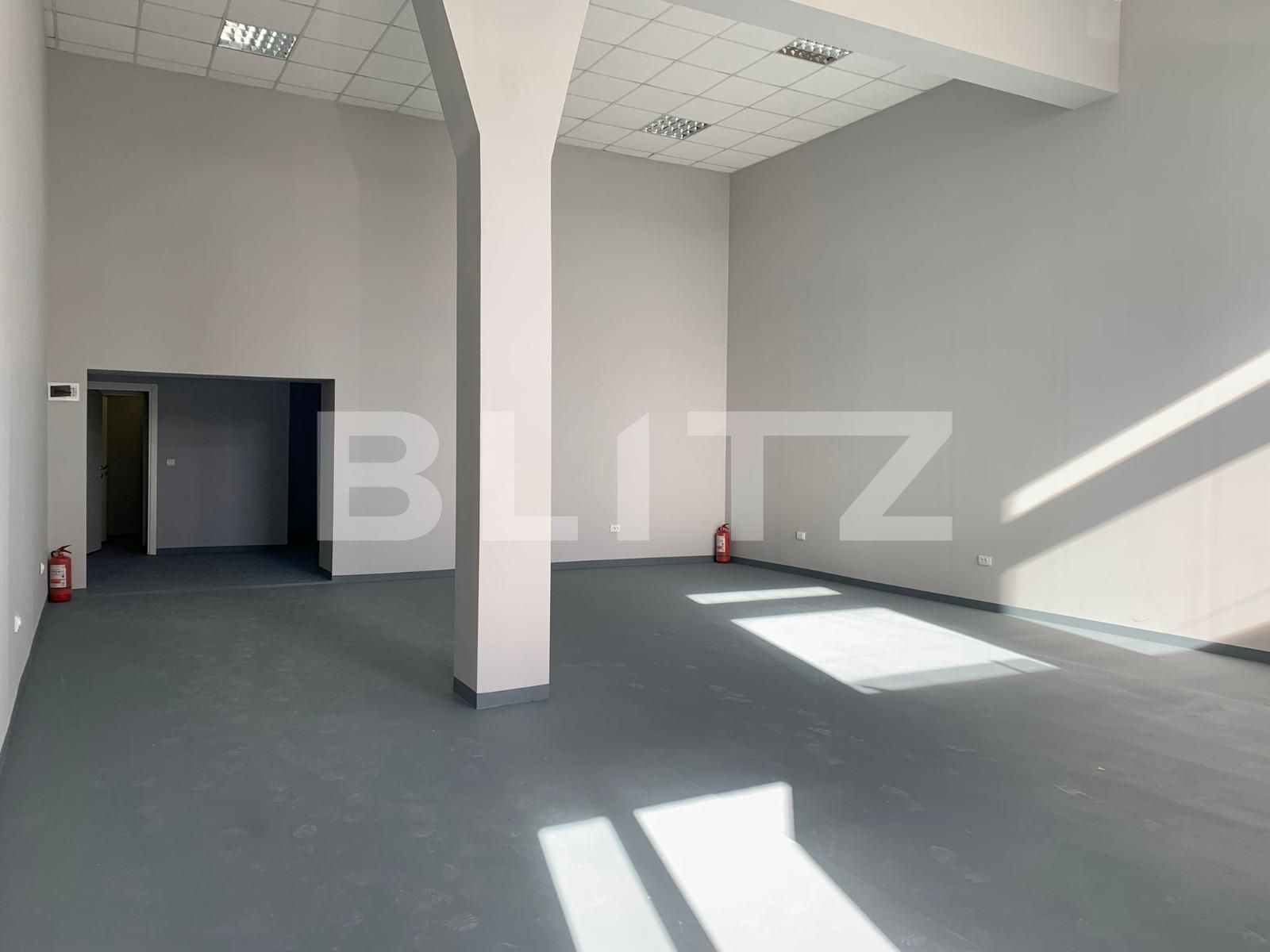 Spațiu industrial de închiriat UTA - 80025SII | BLITZ Arad | Poza2
