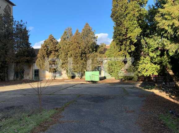 Spațiu comercial de închiriat Intim - 80034SIC | BLITZ Arad | Poza5