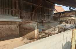 Casa individuala, teren 750 mp, centru Curtici