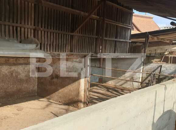 Casa de vânzare 6 camere Exterior Nord - 80243CV | BLITZ Arad | Poza15