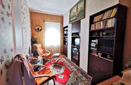 Apartament la casa de 3 camere, 72 mp utili, curte mare, zona Centrala