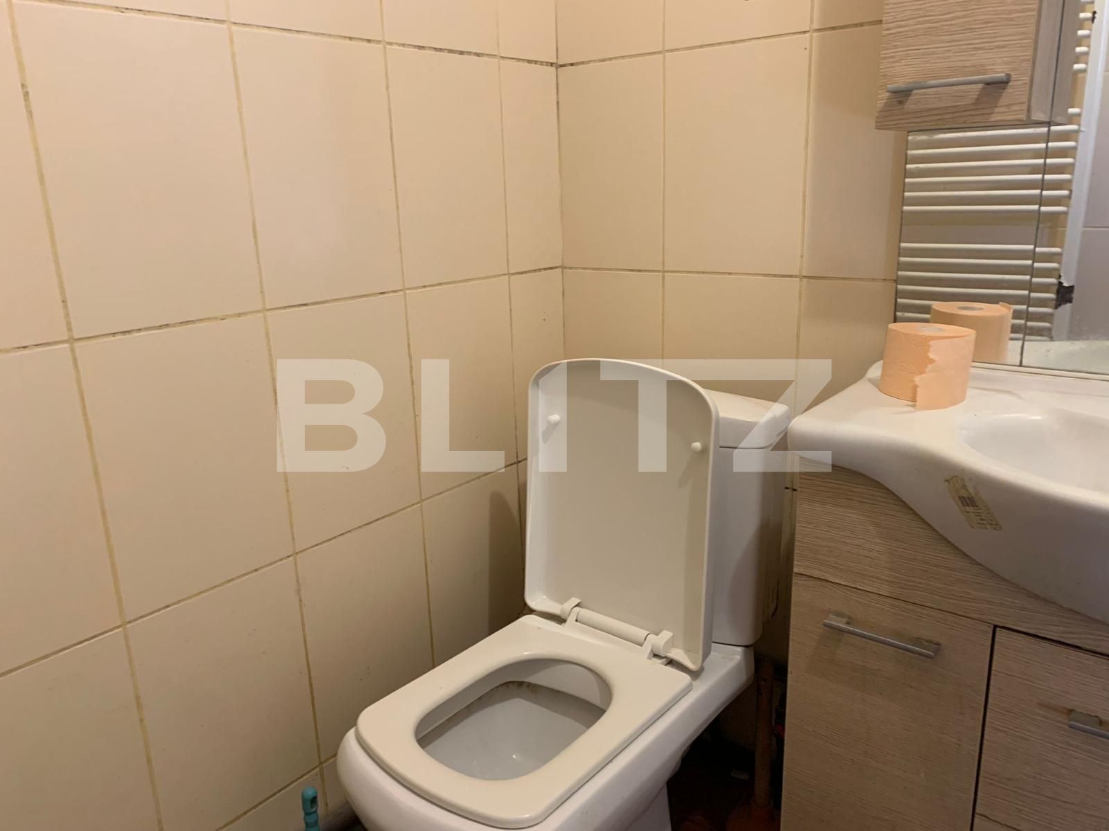 Casa de închiriat 5 camere Exterior Vest - 80489CI | BLITZ Arad | Poza10