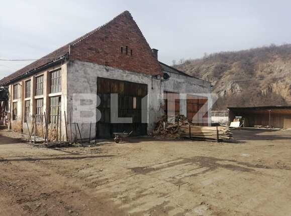 Spațiu industrial de vânzare Sud-Est - 80732SVI | BLITZ Arad | Poza16