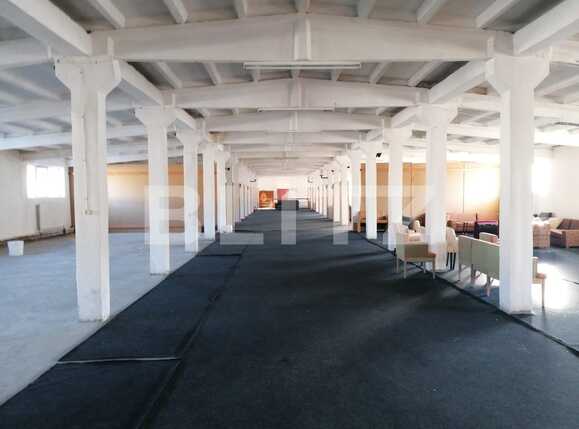Spațiu industrial de vânzare Sud-Est - 80732SVI | BLITZ Arad | Poza9