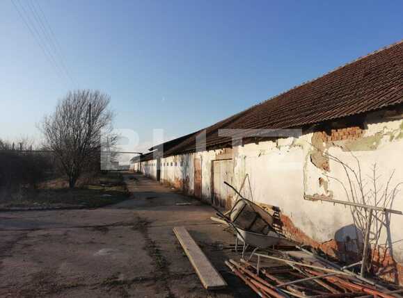 Spațiu industrial de vânzare Sud-Est - 80732SVI | BLITZ Arad | Poza4