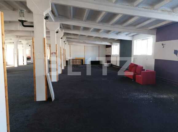 Spațiu industrial de vânzare Sud-Est - 80732SVI | BLITZ Arad | Poza11