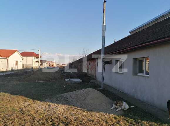 Spațiu industrial de vânzare Sud-Est - 80732SVI | BLITZ Arad | Poza3