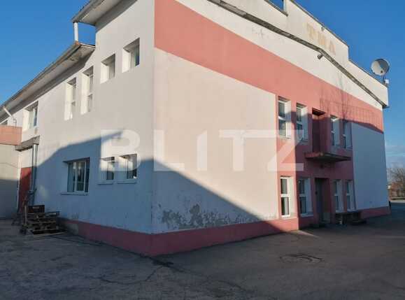 Spațiu industrial de vânzare Sud-Est - 80732SVI | BLITZ Arad | Poza7