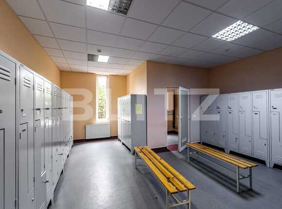 Spațiu industrial de închiriat Est - 80819SII | BLITZ Arad | Poza13