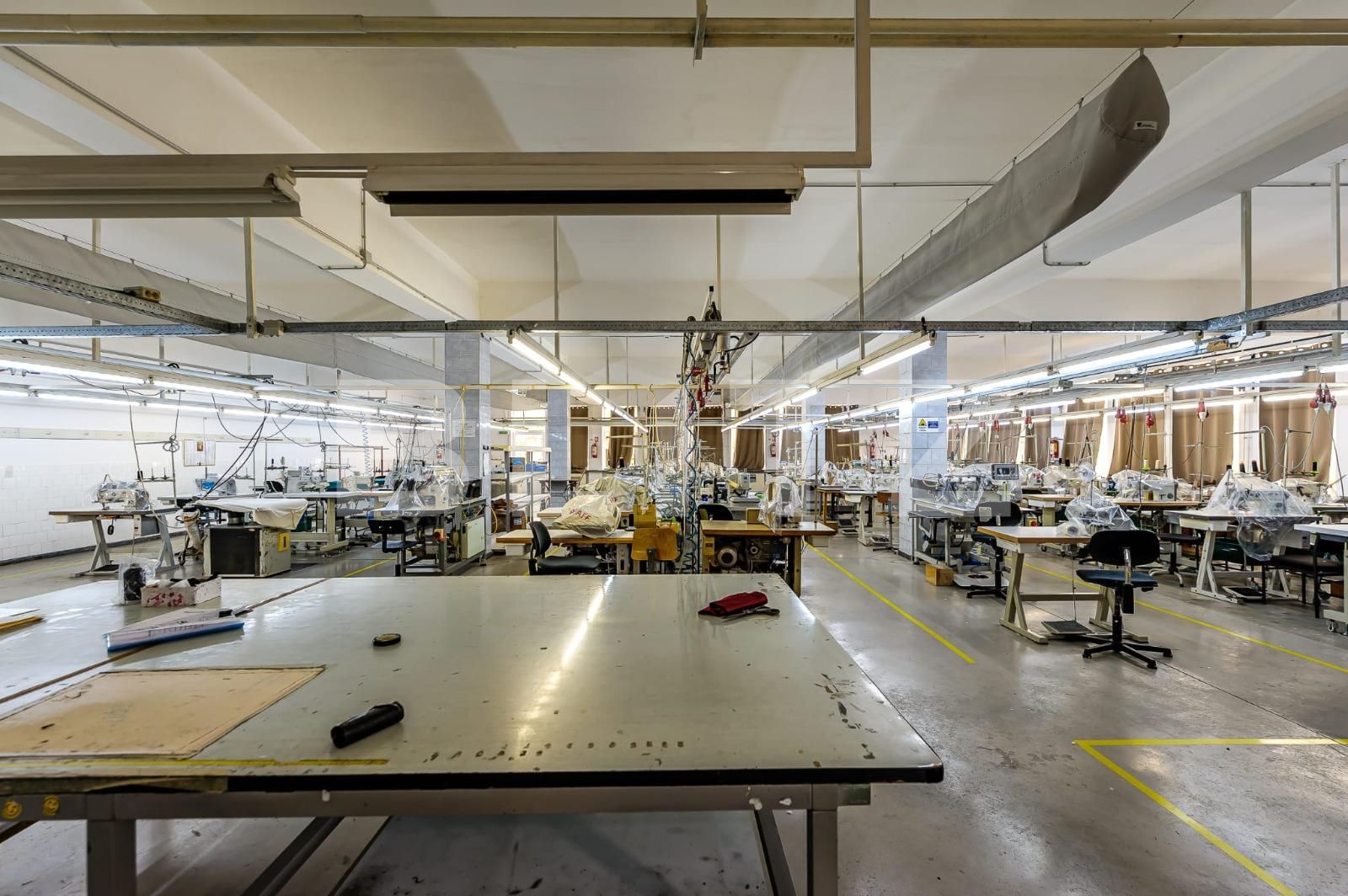 Spațiu industrial de închiriat Est - 80819SII | BLITZ Arad | Poza2