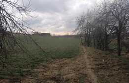 Casă 180 mp utili, teren 14049 mp, Lipova