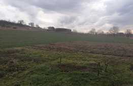 Casă 180 mp utili, teren 14049 mp, Lipova