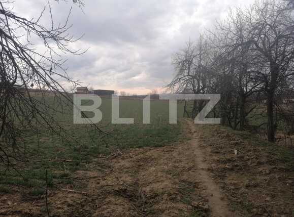 Casa de vânzare 4 camere Est - 80889CV | BLITZ Arad | Poza6