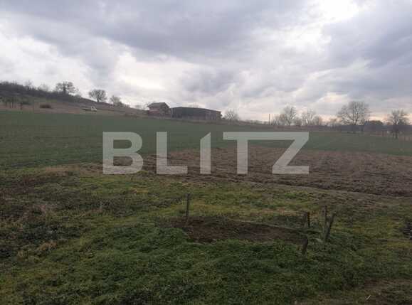 Casa de vânzare 4 camere Est - 80889CV | BLITZ Arad | Poza5