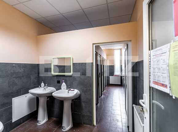 Spațiu industrial de vânzare Est - 81005SVI | BLITZ Arad | Poza3