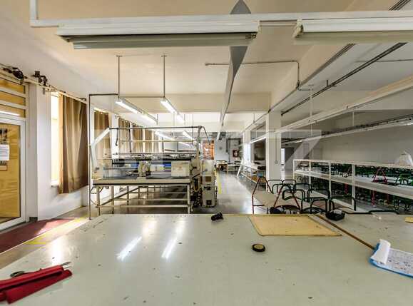 Spațiu industrial de vânzare Est - 81005SVI | BLITZ Arad | Poza15