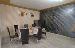 Casa de 190 mp utili, teren 500 mp, Horia