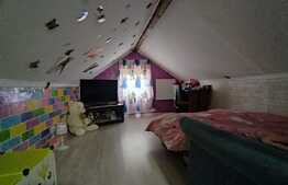 Casa de 190 mp utili, teren 500 mp, Horia