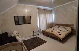 Casa de 190 mp utili, teren 500 mp, Horia