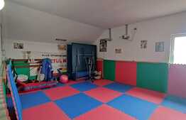 Casa de 190 mp utili, teren 500 mp, Horia