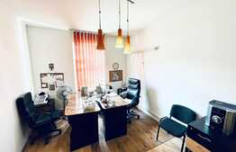 Apartament 6-7 camere la casa, 400 mp, zona Centrala!