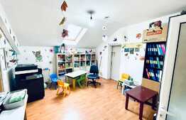 Apartament 6-7 camere la casa, 400 mp, zona Centrala!